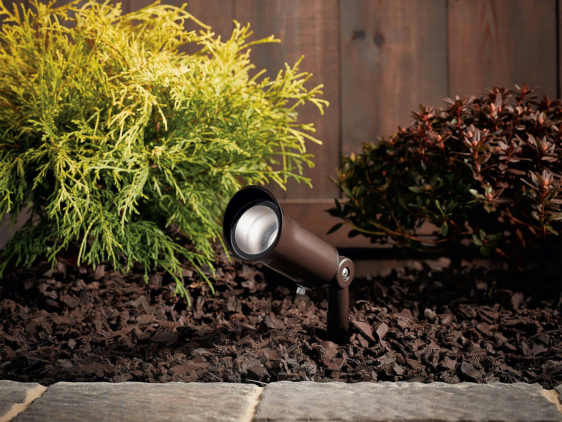 Landscape accent light installed next to sidewalk